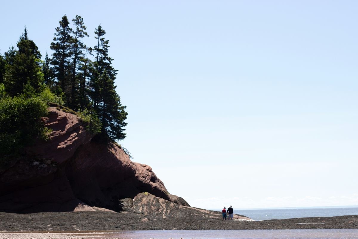 New Brunswick and Newfoundland coastal region — Atlantic Immigration Program (AIP)