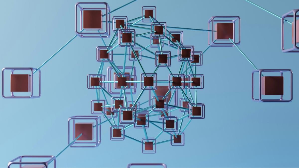 Visual representation of PNP application process