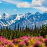 Canadianow - Latest News, Immigration Updates, Jobs &Amp; Lifestyle In Canada! 5 Canadianow - Latest News, Immigration Updates, Jobs & Lifestyle in Canada!