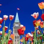 Canadianow - Latest News, Immigration Updates, Jobs &Amp; Lifestyle In Canada! 2 Canadianow - Latest News, Immigration Updates, Jobs & Lifestyle in Canada!