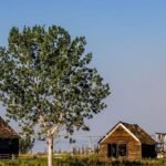 Canadianow - Latest News, Immigration Updates, Jobs & Lifestyle in Canada!