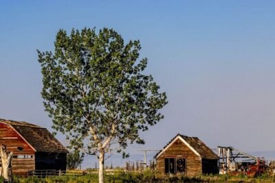 Canadianow - Latest News, Immigration Updates, Jobs & Lifestyle in Canada!