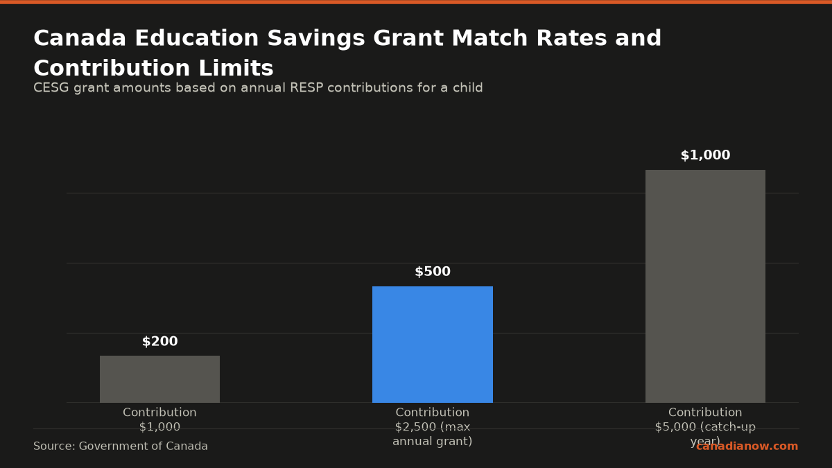 The Canada Education Savings Grant gives 20% of contributions up to $2,500 annually, resulting in $500 max grant, with example grants of $200 on $1,000 contributions and $1000 on $5,000 in a catch-up year.